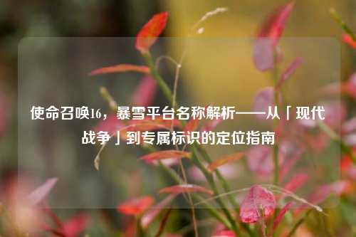 使命召唤16,暴雪平台名称解析——从「现代战争」到专属标识的定位指南