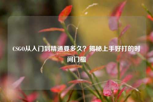 CSGO从入门到精通要多久?揭秘上手好打的时间门槛