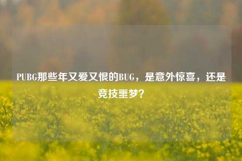 PUBG那些年又爱又恨的BUG,是意外惊喜,还是竞技噩梦?