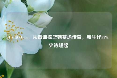 CS:GO Gen,从青训摇篮到赛场传奇,新生代FPS史诗崛起