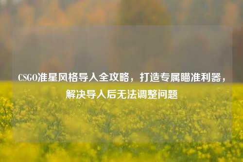 CSGO准星风格导入全攻略，打造专属瞄准利器，解决导入后无法调整问题