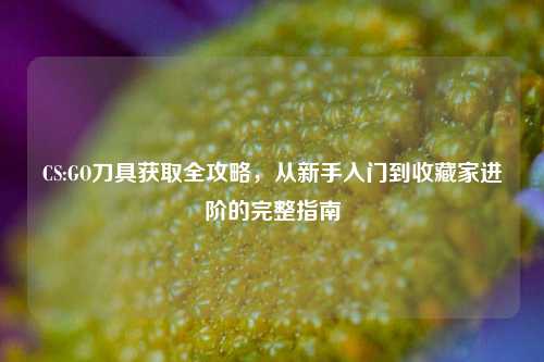 CS:GO刀具获取全攻略，从新手入门到收藏家进阶的完整指南