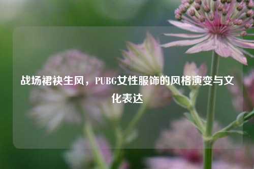 战场裙袂生风,PUBG女性服饰的风格演变与文化表达