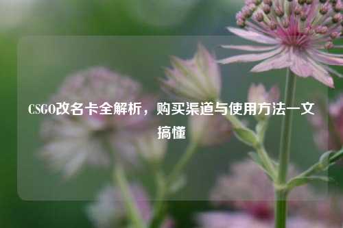 CSGO改名卡全解析，购买渠道与使用方法一文搞懂