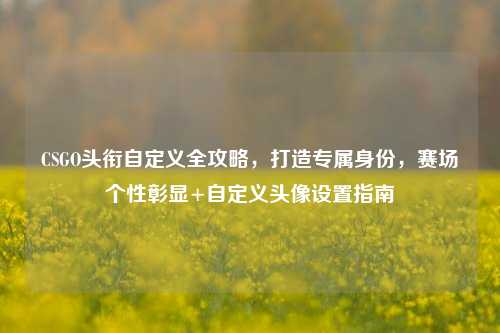 CSGO头衔自定义全攻略，打造专属身份，赛场个性彰显+自定义头像设置指南