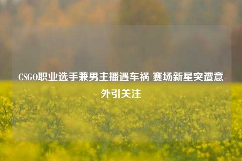 CSGO职业选手兼男主播遇车祸 赛场新星突遭意外引关注