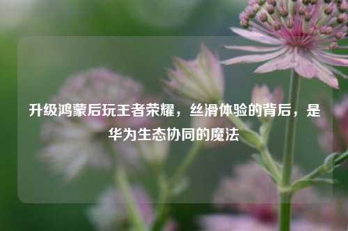 升级鸿蒙后玩王者荣耀,丝滑体验的背后,是华为生态协同的魔法