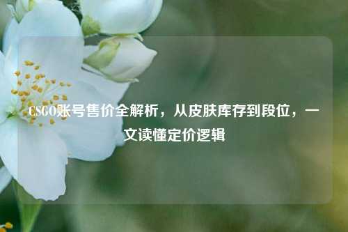 CSGO账号售价全解析,从皮肤库存到段位,一文读懂定价逻辑