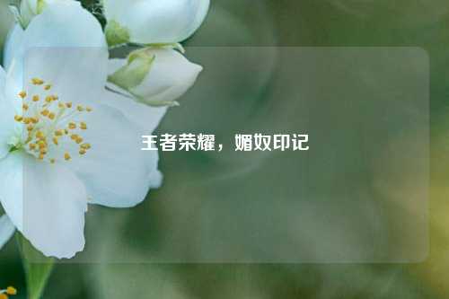 王者荣耀，媚奴印记
