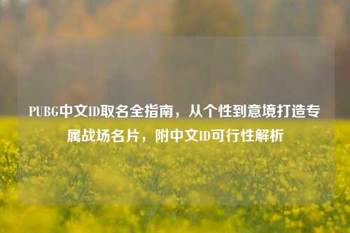 PUBG中文ID取名全指南，从个性到意境打造专属战场名片，附中文ID可行性解析