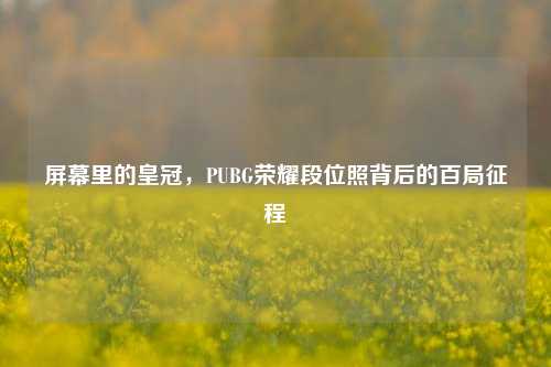 屏幕里的皇冠,PUBG荣耀段位照背后的百局征程