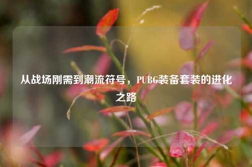 从战场刚需到潮流符号，PUBG装备套装的进化之路