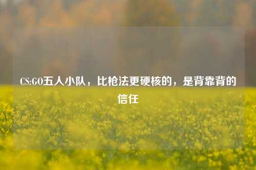 CS:GO五人小队,比枪法更硬核的,是背靠背的信任