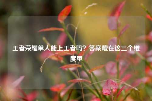 王者荣耀单人能上王者吗？答案藏在这三个维度里