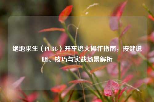 绝地求生（PUBG）开车熄火操作指南，按键说明、技巧与实战场景解析