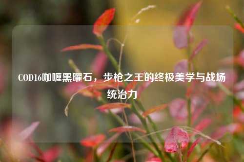 COD16咖喱黑曜石，步枪之王的终极美学与战场统治力