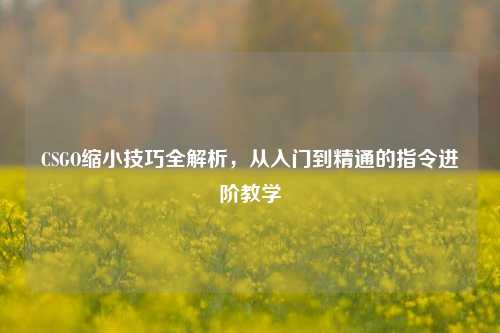CSGO缩小技巧全解析,从入门到精通的指令进阶教学