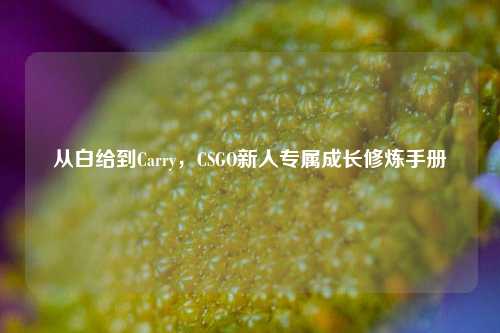 从白给到Carry，CSGO新人专属成长修炼手册