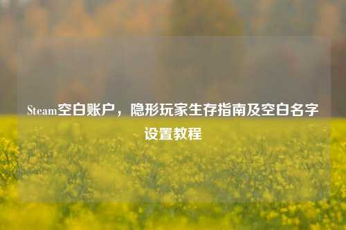 Steam空白账户，隐形玩家生存指南及空白名字设置教程
