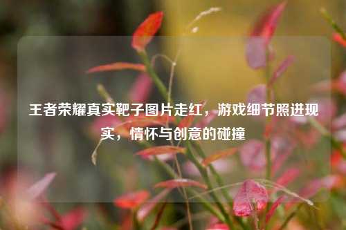 王者荣耀真实靶子图片走红，游戏细节照进现实，情怀与创意的碰撞