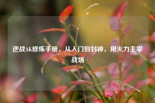 逆战AK修炼手册,从入门到封神,用火力主宰战场