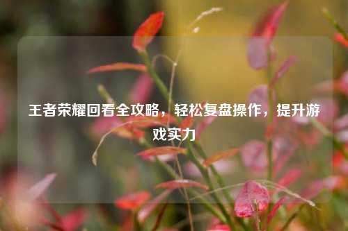 王者荣耀回看全攻略,轻松复盘操作,提升游戏实力