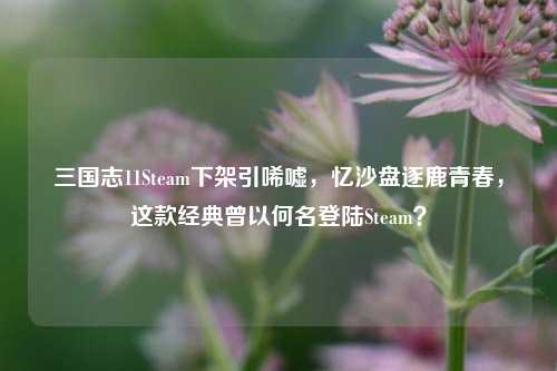 三国志11Steam下架引唏嘘,忆沙盘逐鹿青春,这款经典曾以何名登陆Steam?