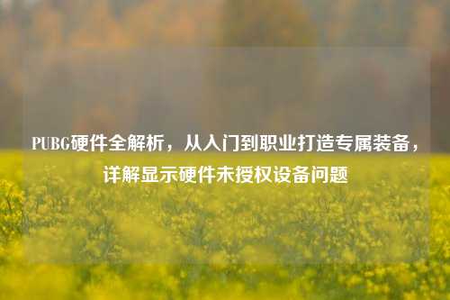 PUBG硬件全解析，从入门到职业打造专属装备，详解显示硬件未授权设备问题