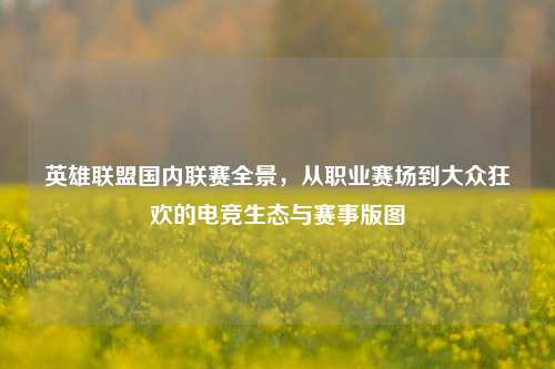 英雄联盟国内联赛全景，从职业赛场到大众狂欢的电竞生态与赛事版图