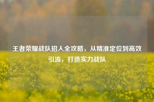 王者荣耀战队招人全攻略,从精准定位到高效引流,打造实力战队