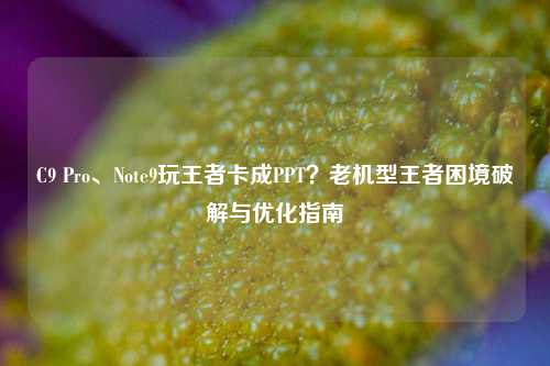 C9 Pro、Note9玩王者卡成PPT?老机型王者困境破解与优化指南