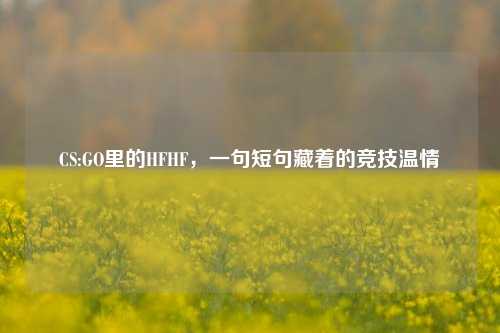 CS:GO里的HFHF，一句短句藏着的竞技温情
