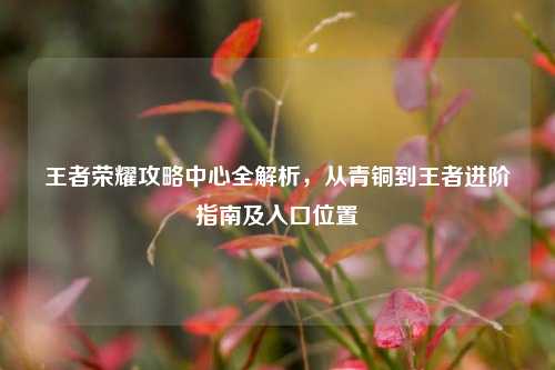 王者荣耀攻略中心全解析，从青铜到王者进阶指南及入口位置