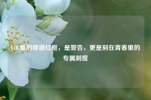 LOL里的那道红框，是警告，更是刻在青春里的专属刻度