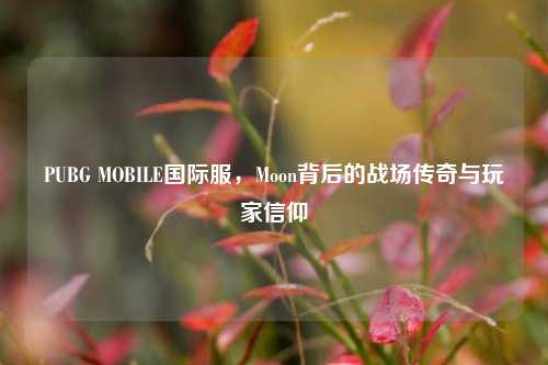 PUBG MOBILE国际服,Moon背后的战场传奇与玩家信仰