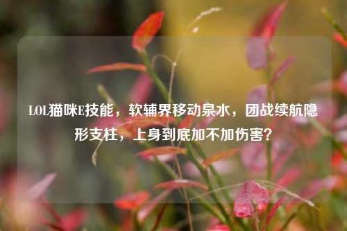 LOL猫咪E技能，软辅界移动泉水，团战续航隐形支柱，上身到底加不加伤害？