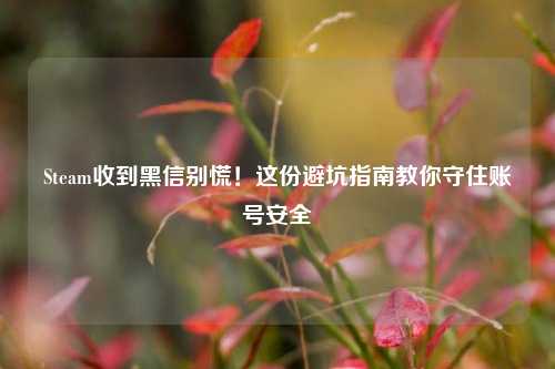 Steam收到黑信别慌！这份避坑指南教你守住账号安全