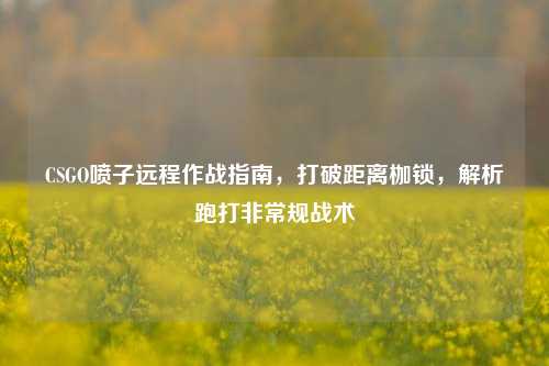 CSGO喷子远程作战指南,打破距离枷锁,解析跑打非常规战术