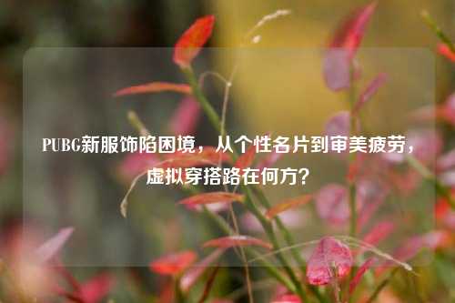PUBG新服饰陷困境，从个性名片到审美疲劳，虚拟穿搭路在何方？