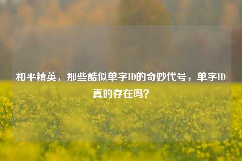 和平精英，那些酷似单字ID的奇妙代号，单字ID真的存在吗？