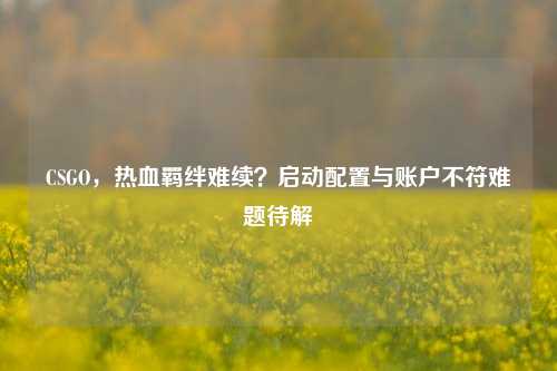 CSGO,热血羁绊难续?启动配置与账户不符难题待解