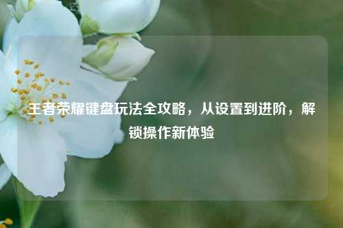 王者荣耀键盘玩法全攻略，从设置到进阶，解锁操作新体验