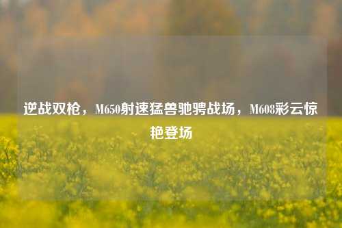 逆战双枪,M650射速猛兽驰骋战场,M608彩云惊艳登场