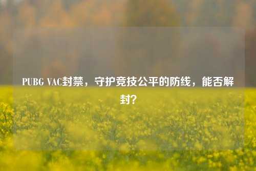 PUBG VAC封禁，守护竞技公平的防线，能否解封？