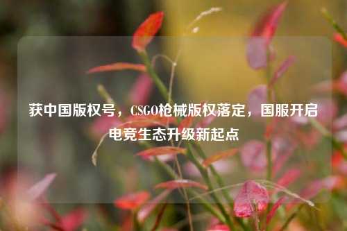 获中国版权号,CSGO枪械版权落定,国服开启电竞生态升级新起点