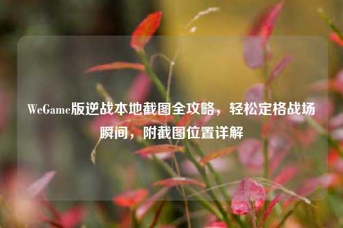 WeGame版逆战本地截图全攻略,轻松定格战场瞬间,附截图位置详解