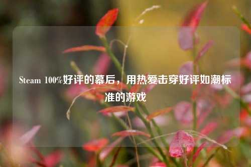 Steam 100%好评的幕后,用热爱击穿好评如潮标准的游戏