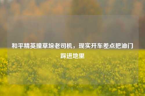 和平精英撞草垛老司机，现实开车差点把油门踩进地里