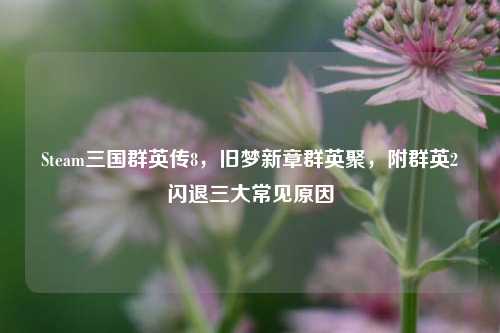 Steam三国群英传8，旧梦新章群英聚，附群英2闪退三大常见原因